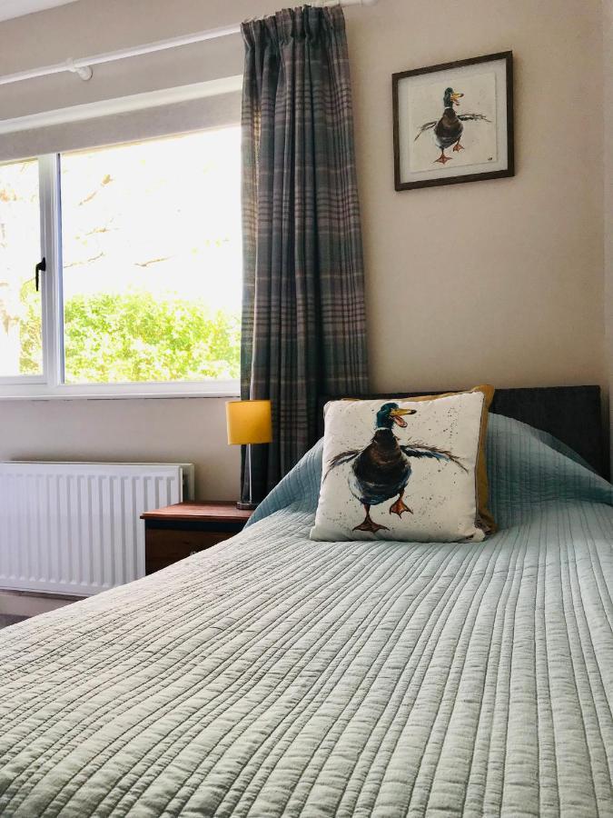 Eden Cottage Lisburn Dış mekan fotoğraf
